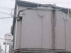 -面屋 猪一