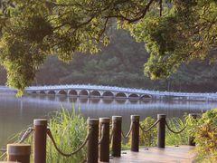 -深圳仙湖植物园