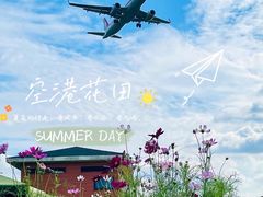 -空港花田景区