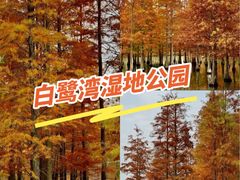 -白鹭湾湿地公园