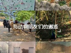 -青岛动物园