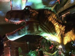 -恐龙探索乐园(磁器口店)