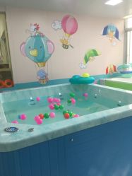 -贝贝熊孕婴童连锁