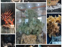 -中国地质博物馆