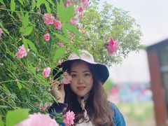-鹅湖玫瑰文化园