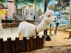 -宝燕乐园(闵行旗舰店)