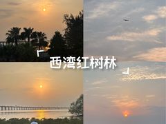 -宝安西湾红树林湿地公园