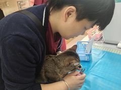 -美联众合动物医院·24h京西诊疗中心