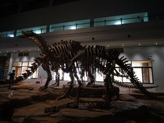 -自贡恐龙博物馆