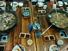 -鸭嘴鱼
