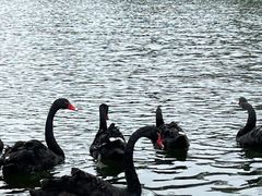 -两江国际影视城