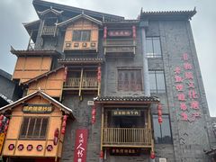 -老凯俚酸汤鱼(多彩城店)