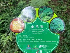 -野象谷景区
