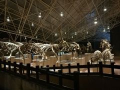 -世界恐龙谷景区