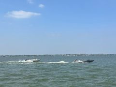 -阳澄湖半岛旅游度假区