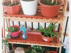 -北京龙庆四季香农家饭庄·灶台鱼·碳烤虹鳟鱼(龙庆峡店)