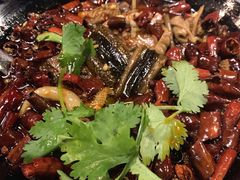 -华豫川酒家(大卫城店)