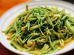 空心菜-加顺农场餐厅