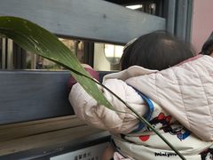 -比斯特上海购物村精品奥特莱斯