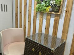 -青奢宠物·青奢猫舍