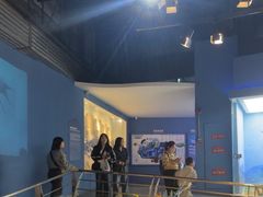 -重庆欢乐海底世界