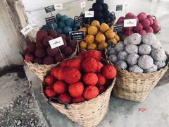 -大象粑粑造纸公园