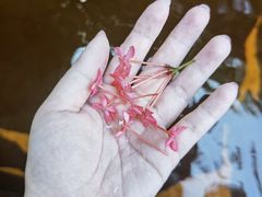 -林丰温泉度假山庄