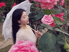 -东湖落雁景区
