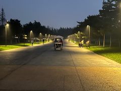 -汉长安城未央宫国家考古遗址公园