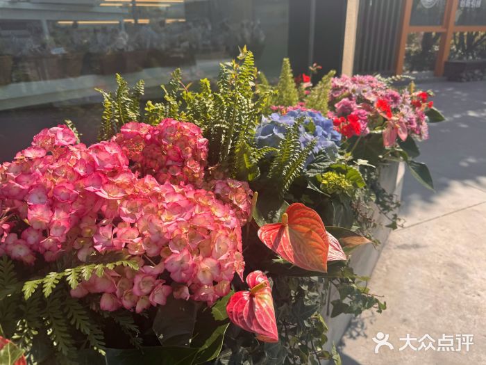 同济大学(嘉定校区)图片
