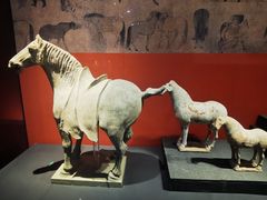 -陕西历史博物馆