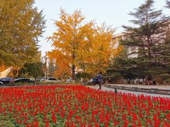-北京邮电大学