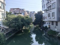 -小洲村