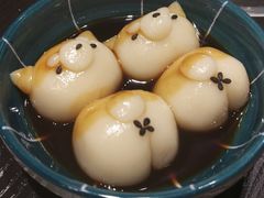 -逗柴咖啡屋·狗咖猫咖宠物桌游