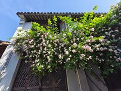 -惠山古镇·寄畅园