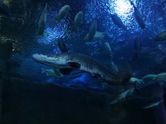 -成都浩海立方海洋公园