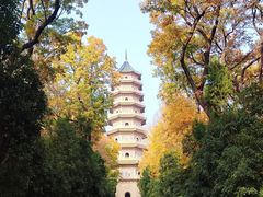 -灵谷景区