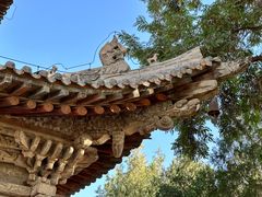 -张掖大佛寺景区