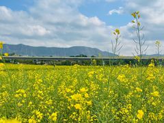 -光明小镇欢乐田园