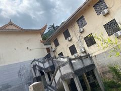 -深圳仙湖植物园