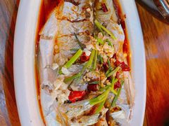 -印象江南(东栅店)