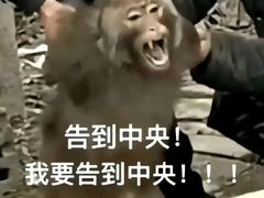 -串小白烧烤(金沙洲店)