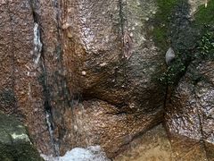 -火炉山森林公园