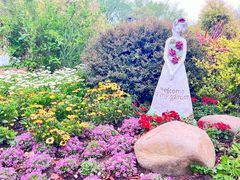 -上海共青森林公园