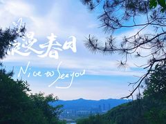 -大奇山国家森林公园