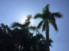 -佛山祈福仙湖酒店