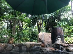 -厦门日月谷温泉渡假村