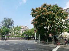 -陈记锅巴菜(五大道店)