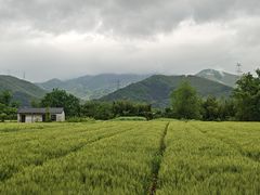 -東大方(瓶窑广场店)