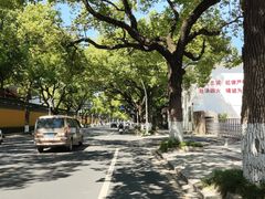 -西园寺素食(西园弄戒幢律寺店)